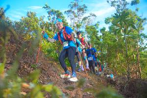 BIB: 197
                            <button type="button" onclick="openModal(21836435)" class="btn btn-primary btn-sm float-right btn-popup" data-toggle="modal" data-target=".modal-high-quality">
                        <i class="fas fa-shopping-cart"></i> Add to Cart
                    </button>
                                            <button type="button" onclick="isThisMe(21836435, true)" class="btn btn-success btn-sm float-right btn-popup btn-isme hidden" data-toggle="tooltip" data-placement="bottom" title="นี่คือรูปของคุณใช่ไหม คลิกที่นี่เพื่อเอาเข้าอัลบั้ม">
                        <i class="fas fa-plus"></i> Add to album
                    </button>
                    <button type="button" onclick="isThisMe(21836435, false)" class="btn btn-warning btn-sm float-right btn-popup btn-isnotme hidden">
                        <i class="fas fa-ban"></i> Remove from album
                    </button>